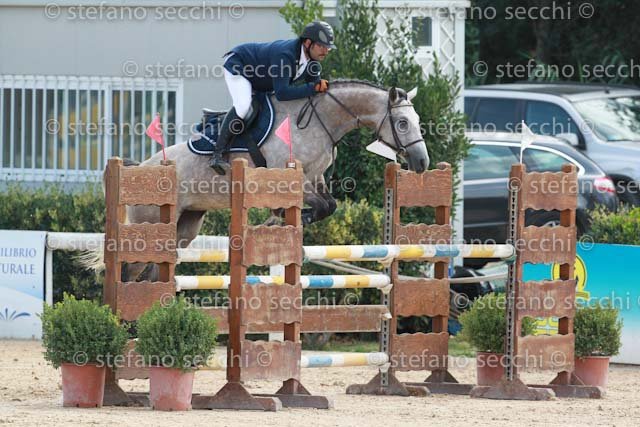 TUCCI_CRUDELITAS_GIO CAV 2011_SS3_8421.jpg